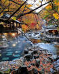 Entrada al onsen