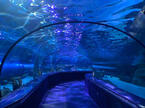 Tunel bajo el agua
